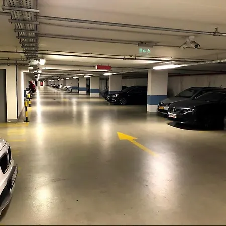 Cedar - Palace District Budapest