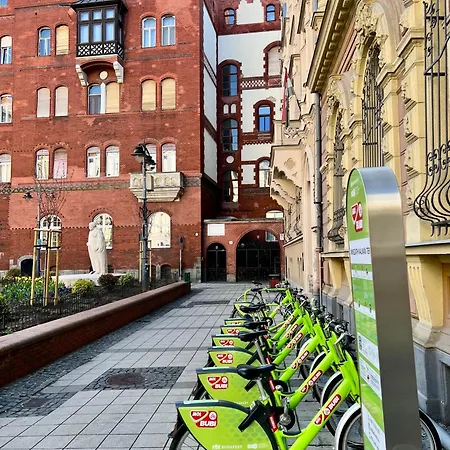 Cedar - Palace District * Budapeşte