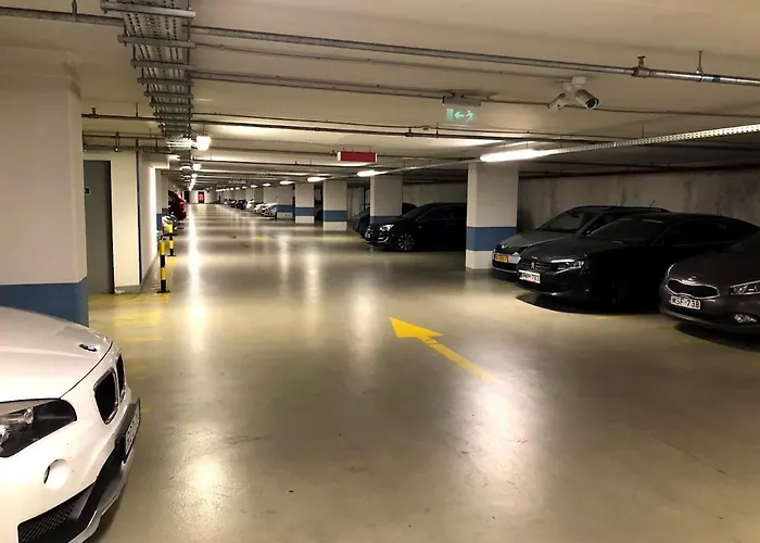 Cedar - Palace District Budapest