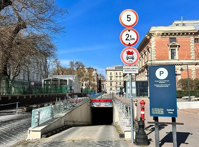 Cedar - Palace District