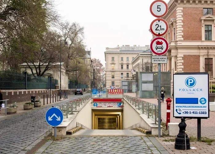 Cedar - Palace District *